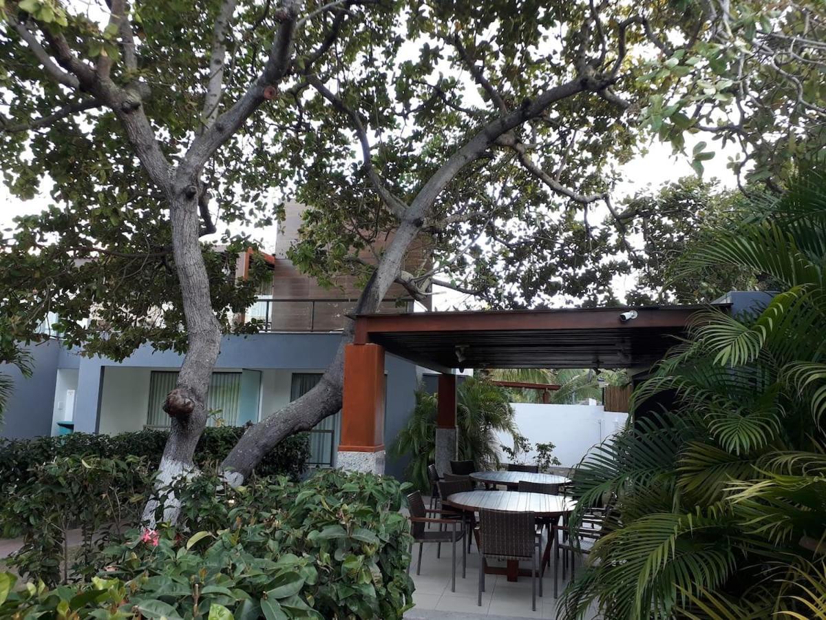 Solaris Village Imbassaí Salvador Exteriör bild